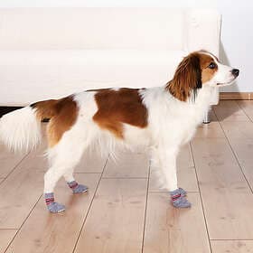 Trixie Hundsockor Non-slip 2-pack (M L)