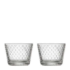 Iittala Tundra Glas 16 cl 2-pack