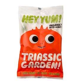 Garden Hey Yum! Triassic Godispåse 100g