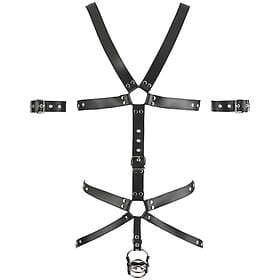 Zado Harness med Trippel Penisring Svart S/M