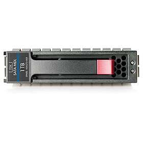 HP 655710-B21 1TB