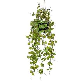 vidaXL Emerald Konstväxt ceropegia i kruka hängande 50 cm 435900