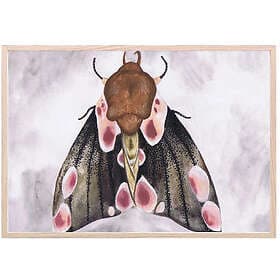 That's Mine Poster A Moth's Beauty 30x40