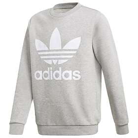 Adidas Originals Sweatshirt Trefoil (Jr)