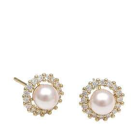 Lily and Rose Colette pearl stud earrings Rosaline Örhängen