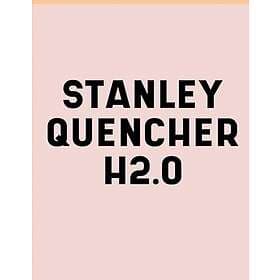 Stanley Quencher H2.O Flowstate Stainless Steel Vacuum Insulated Tumbler 30oz an