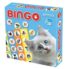 Bingo Katter