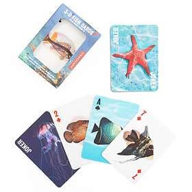 Kikkerland Fish 3D Cards