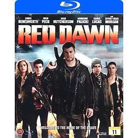 Red Dawn (2012) (Blu-ray)