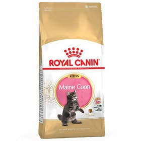 Royal Canin Breed Maine Coon 36 Kitten 2kg