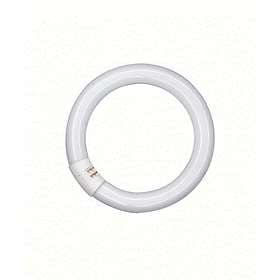 Osram Fluorescent Circular 1350lm 2700K G10q 22W