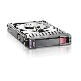 HP 737261-B21 300GB