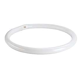 Osram Lumilux T9 Circular 840 3200lm 4000K G10q 40W