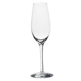 Orrefors Merlot Champagne Glass 33cl