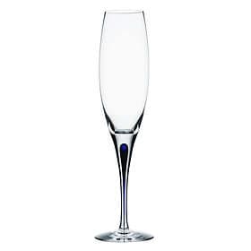 Orrefors Intermezzo Champagne Glass 26cl