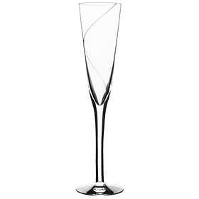 Kosta Boda Line Champagne Glass 15cl