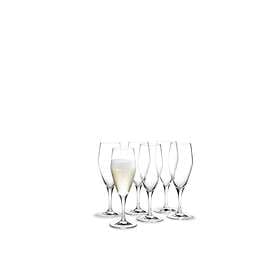 Holmegaard Perfection Champagne Glass 23cl 6-pack