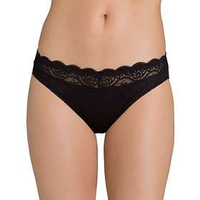 Triumph Amourette 300 Tai Brief