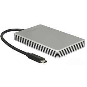 DeLock External Thunderbolt SSD 480GB