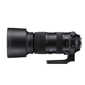 Sigma 60-600/4.5-6.3 DG OS HSM Sports for Nikon