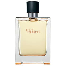 Hermes Terre D'Hermes edt 100ml