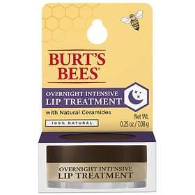 Burt's Bees Overnight Intensive Lip Treatment Pot