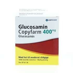 Glucosamin Copyfarm 400mg 4x250 Tablets