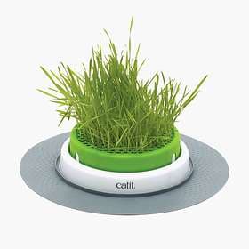 Cat It Senses 2.0 Grass Planter