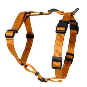 Dogman Iris H-Harness 25mm L