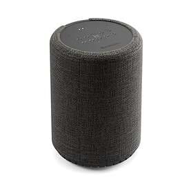 Audio Pro G10 WiFi Bluetooth Speaker