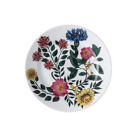 Rosenthal Magic Garden Blossom Tallerken Ø17cm