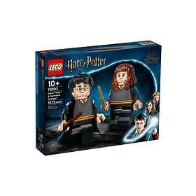 LEGO Harry Potter 76393 Harry Potter og Hermione Granger