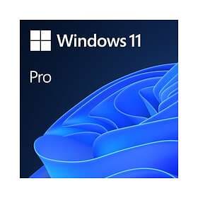 Microsoft Windows 11 Pro Eng (64-bit OEM)