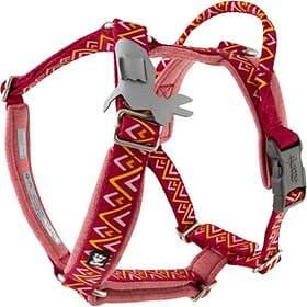 Hurtta Razzle Dazzle Y-Harness 65-80cm