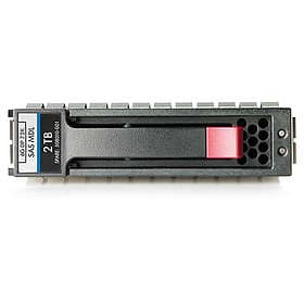 HP 507616-B21 2TB