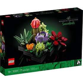 LEGO Creator Expert 10309 Sukkulenter