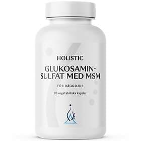 Holistic Glukosaminsulfat med MSM för Djur 90 kapslar