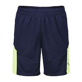 Puma individualFINAL Shorts (Herre)