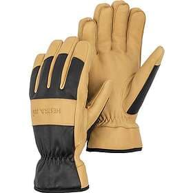 Hestra Winter Pro Gloves (Herre)