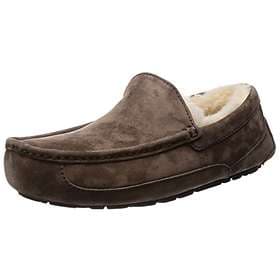 UGG Australia Ascot (Unisex)