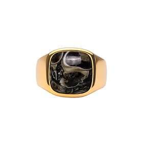 IX Studios Turtle Agate Signet Ring 22 kt. Forgyldt DMN0282GDTA-54 (ring) Unisex