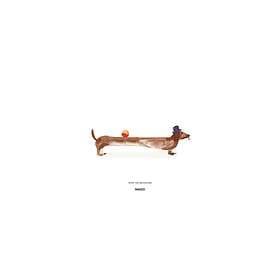 Paper Collective Doug the Dachshund poster 30x40 cm