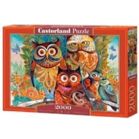 Castorland 2000