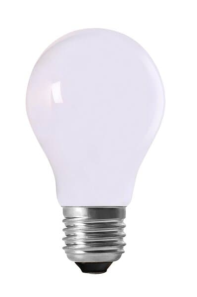 PRhome LED-lampa Perfect Opal E27 Normal LED 2026007