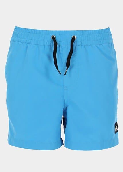 Quiksilver Everyday Volley Shorts (Jr)