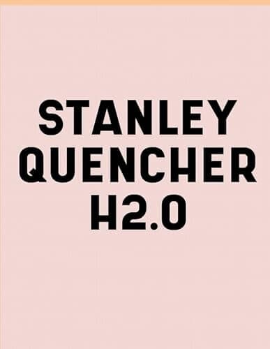 Stanley Quencher H2.O Flowstate Stainless Steel Vacuum Insulated Tumbler 30oz an