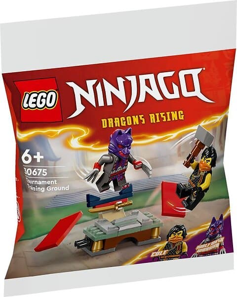 LEGO Ninjago 30675 Tournament Training Ground