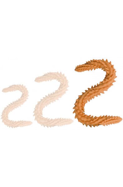 DoublePlayz Double Dildo Scolop 60cm