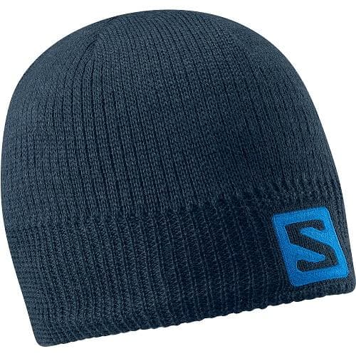 Salomon Logo Beanie