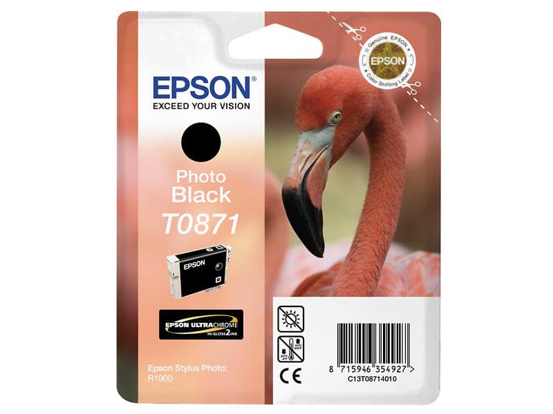 Epson T0871 (Fotosvart)